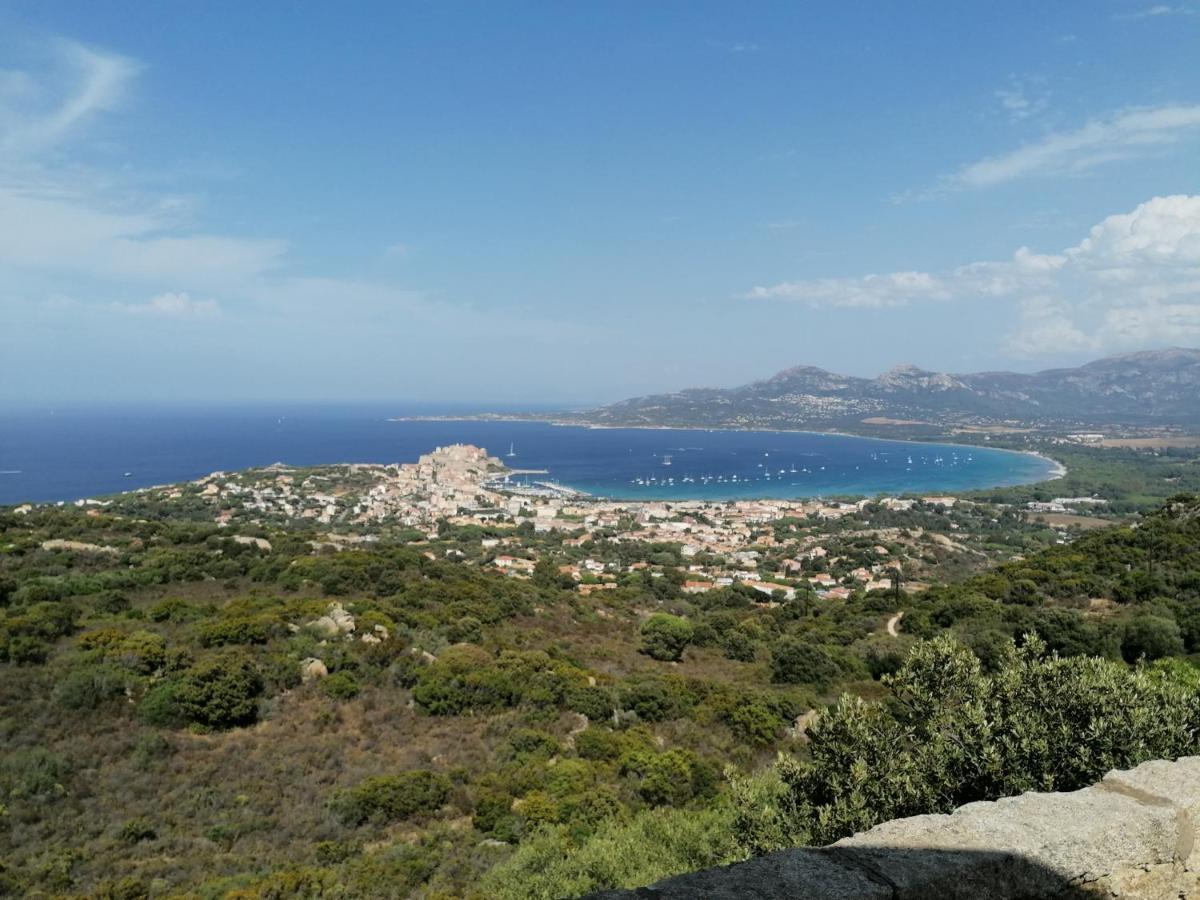 Appartement Residence Les Eucalyptus LʼÎle-Rousse المظهر الخارجي الصورة